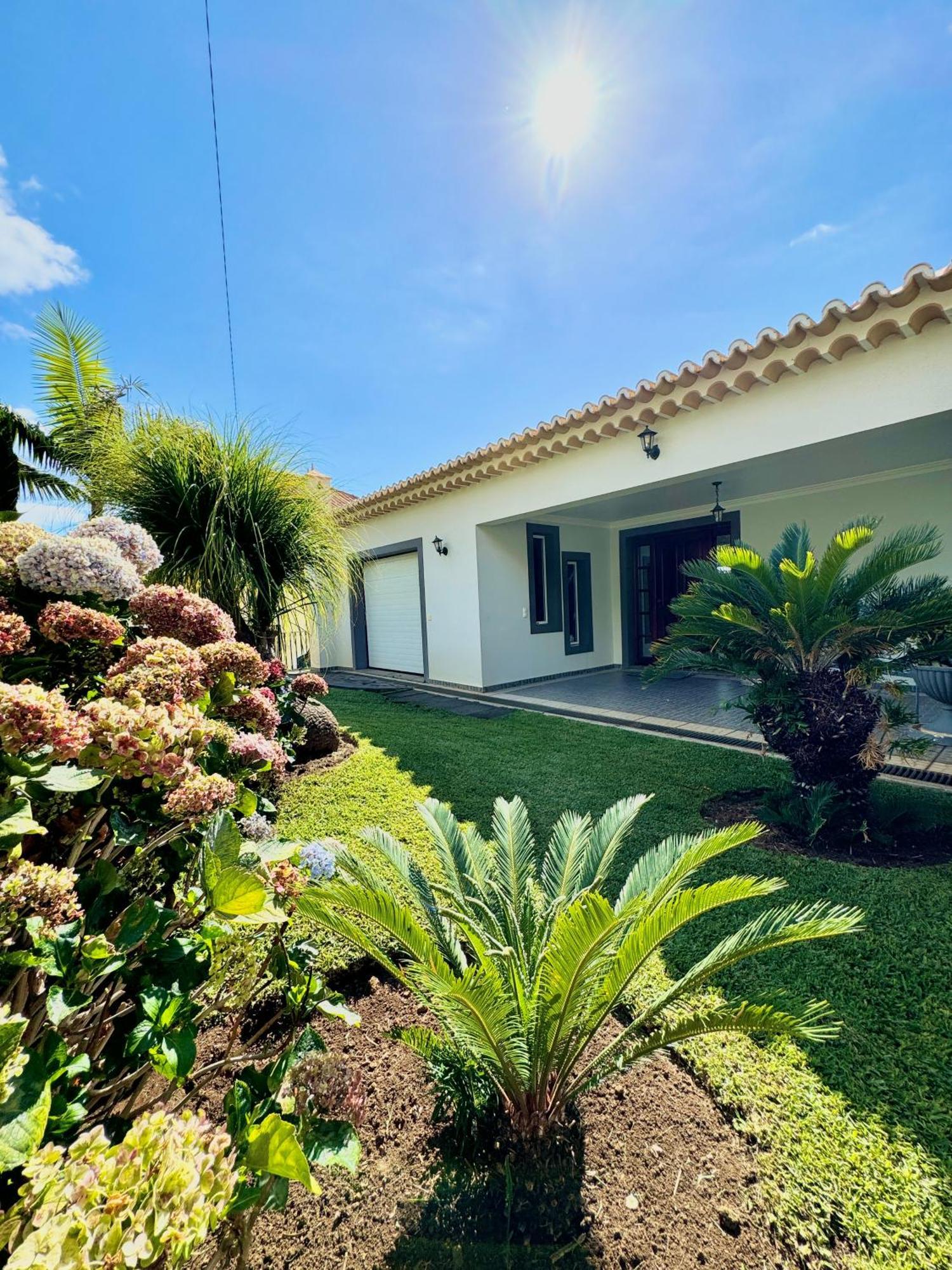 Casa Conduto Guest House Ponta do Sol  Exterior photo